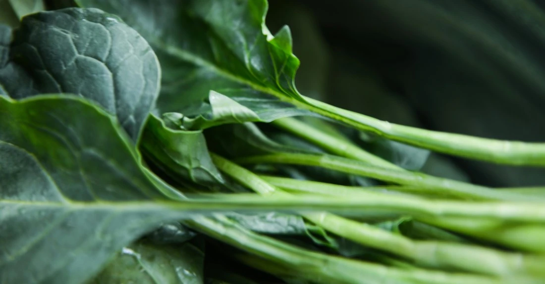 1. 1. STYLEUP_GUIDE_HEALTH_AND_BEAUTY_TIPS_ALL_ABOUT_MAGNESIUM_Green_Leafy_Vegetables_Like_Spinach_Are_Rich_In_Magnesium.jpg